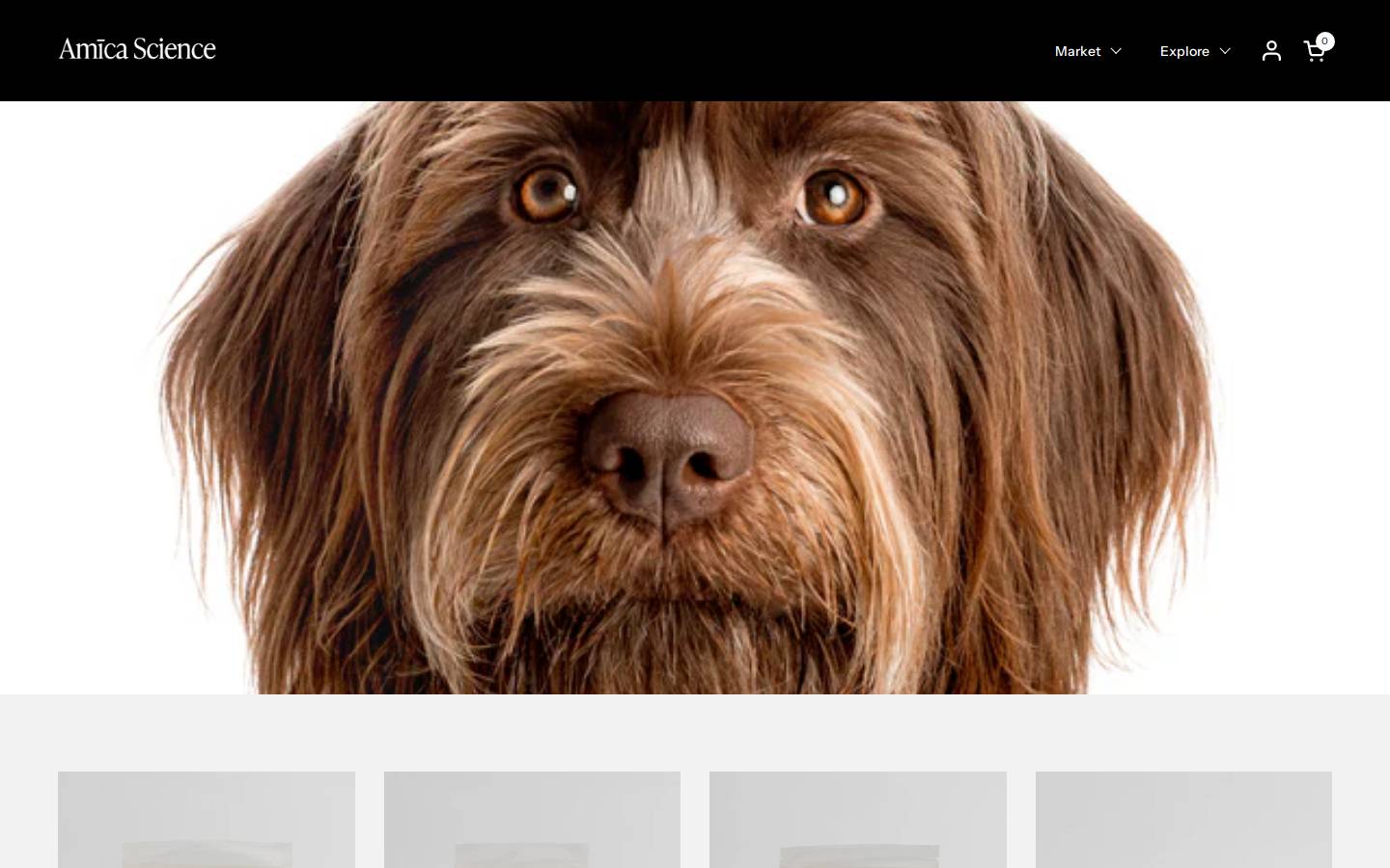 amicascience.com homepage screenshot