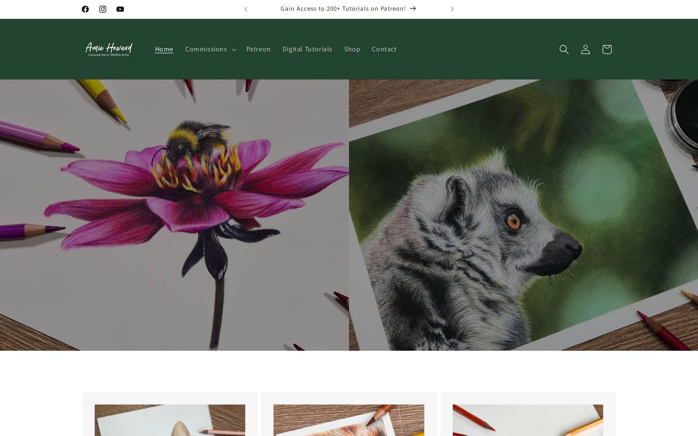 amiehowardart.com homepage screenshot
