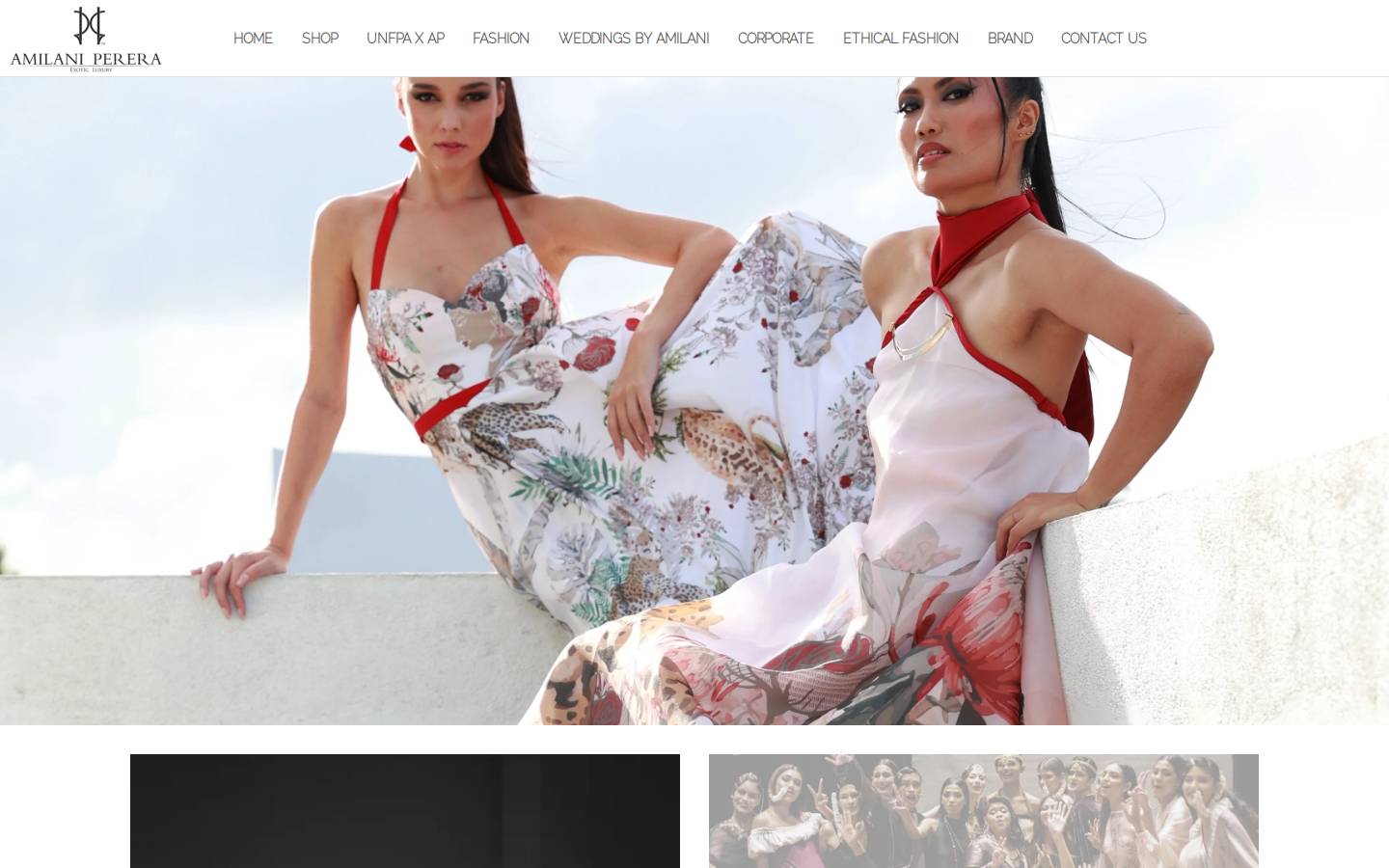 amilaniperera.com homepage screenshot