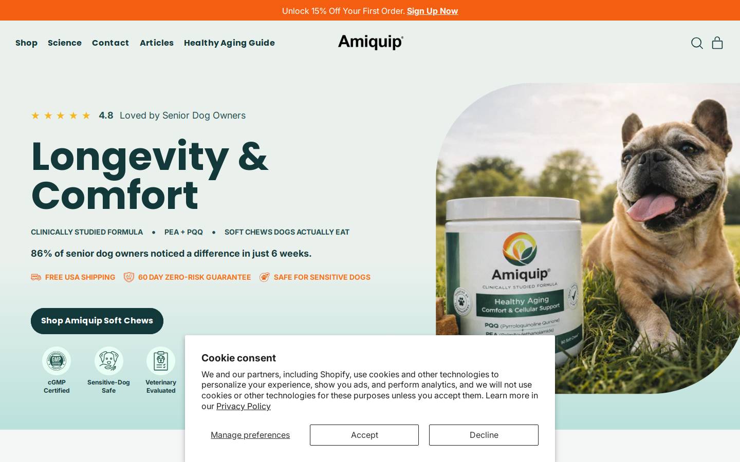 amiquip.com homepage screenshot