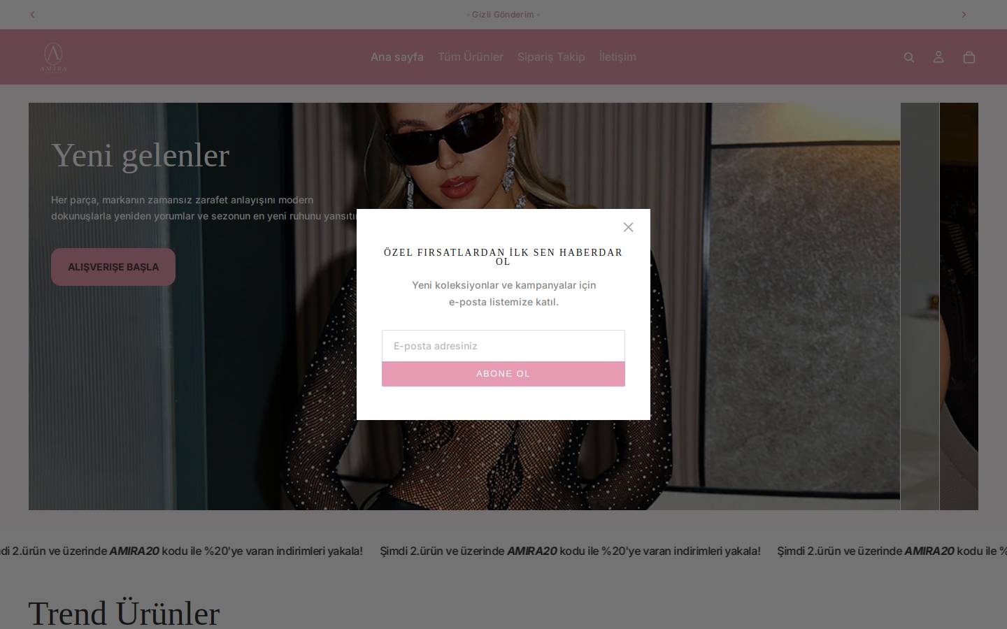 amiraflorence.com homepage screenshot