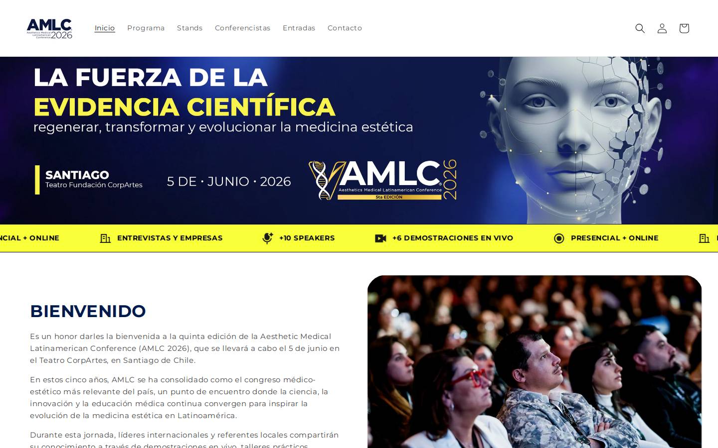 amlcchile.com homepage screenshot
