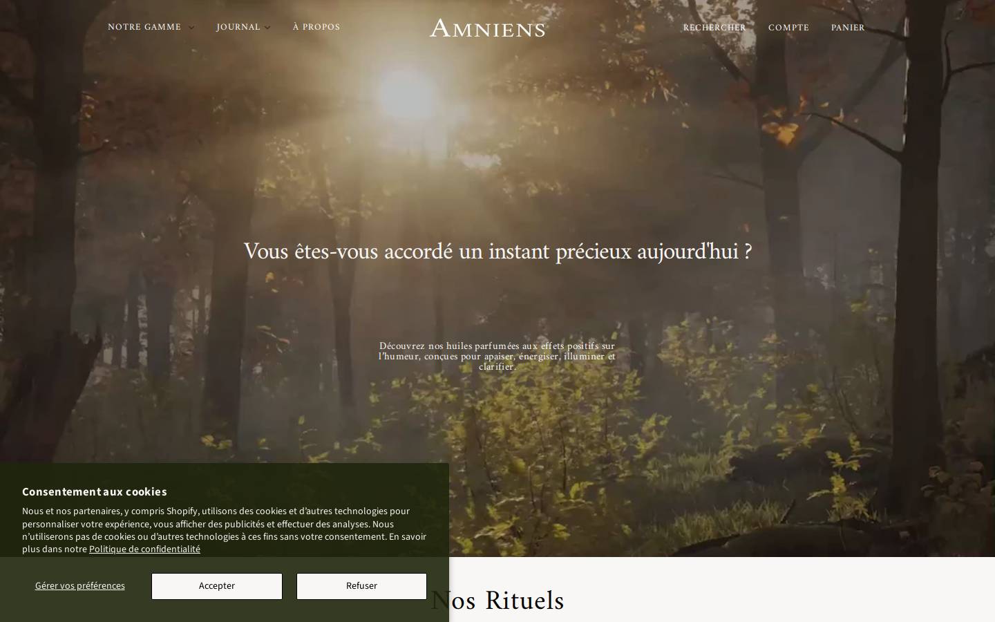 amniens.com homepage screenshot