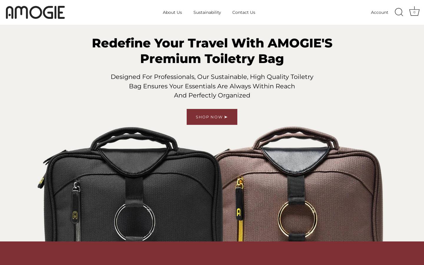 amogie.com homepage screenshot