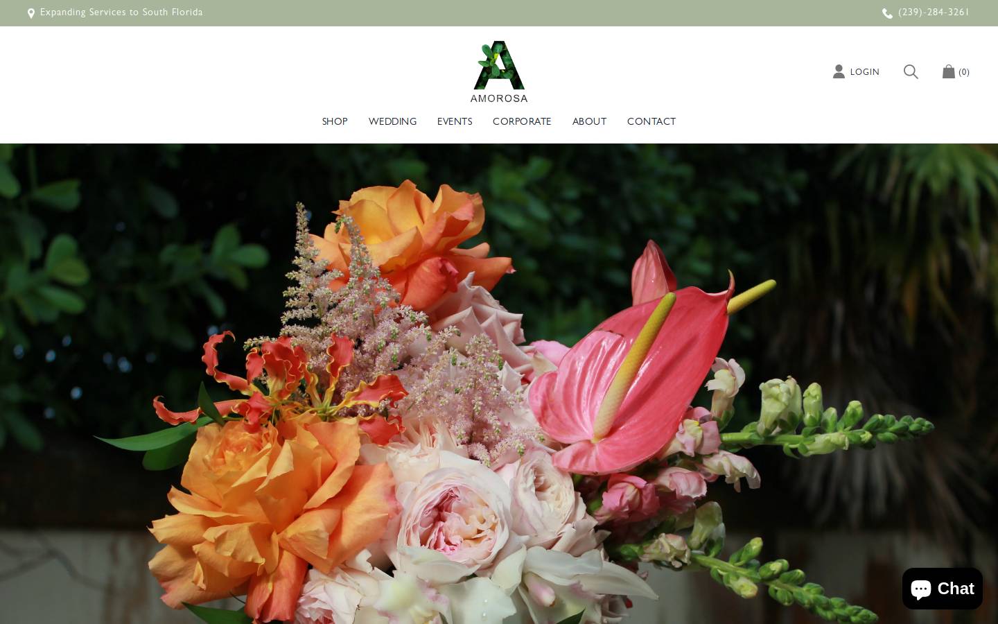amorosamiami.com homepage screenshot