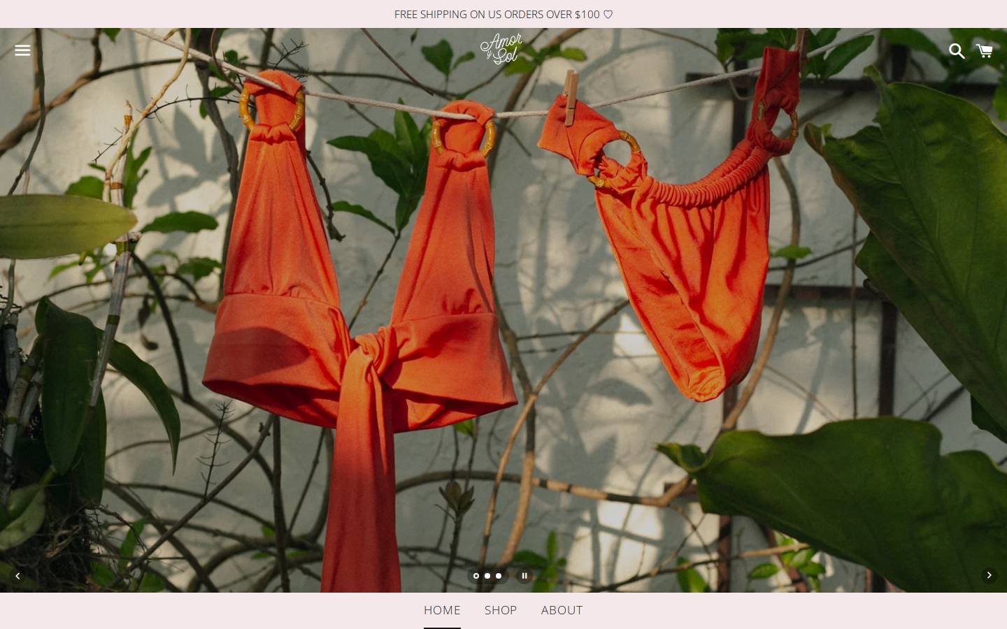 amorysolswim.com homepage screenshot