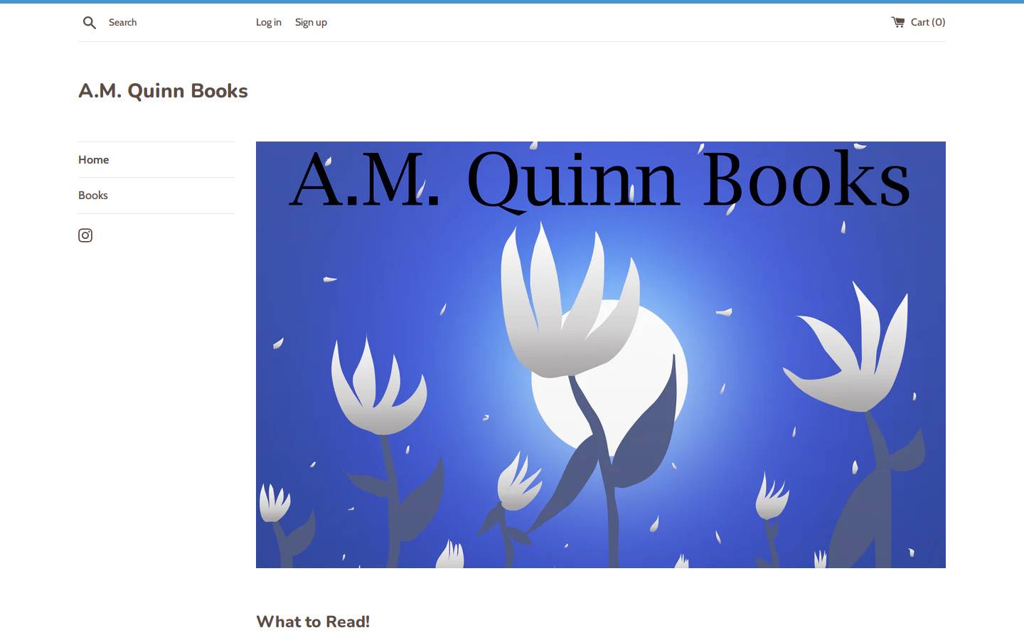 amquinnbooks.com homepage screenshot