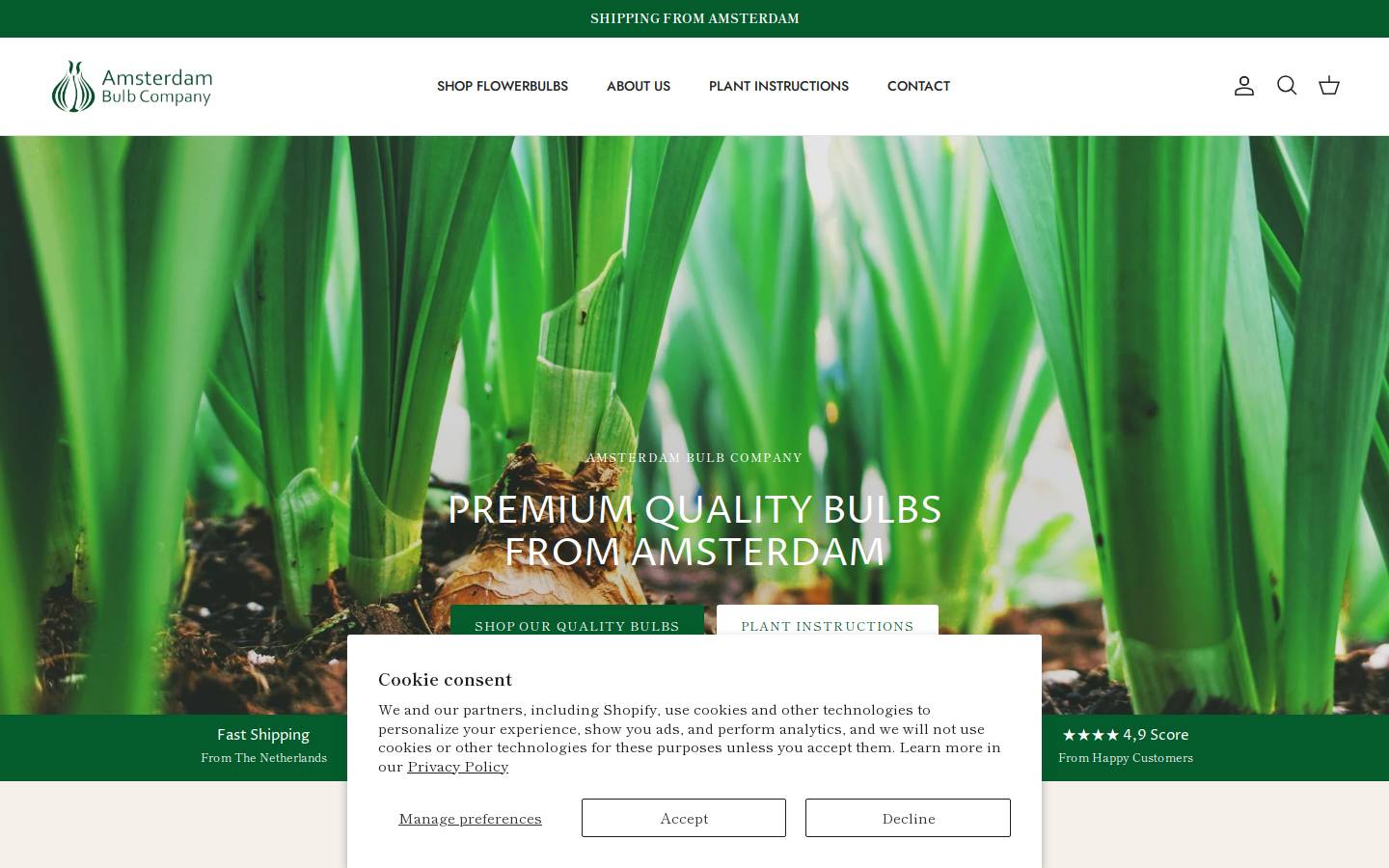 amsterdambulb.com homepage screenshot