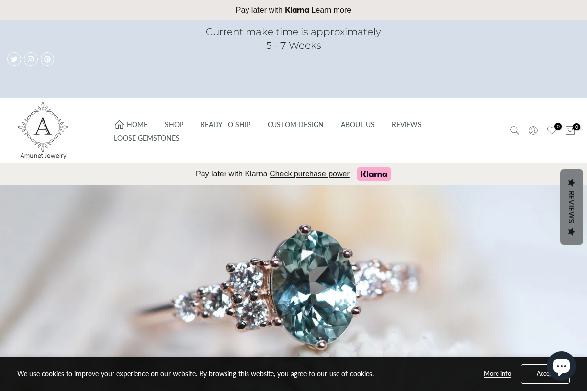 Amunet LLC homepage screenshot