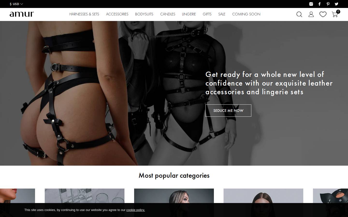 amurdesires.com homepage screenshot