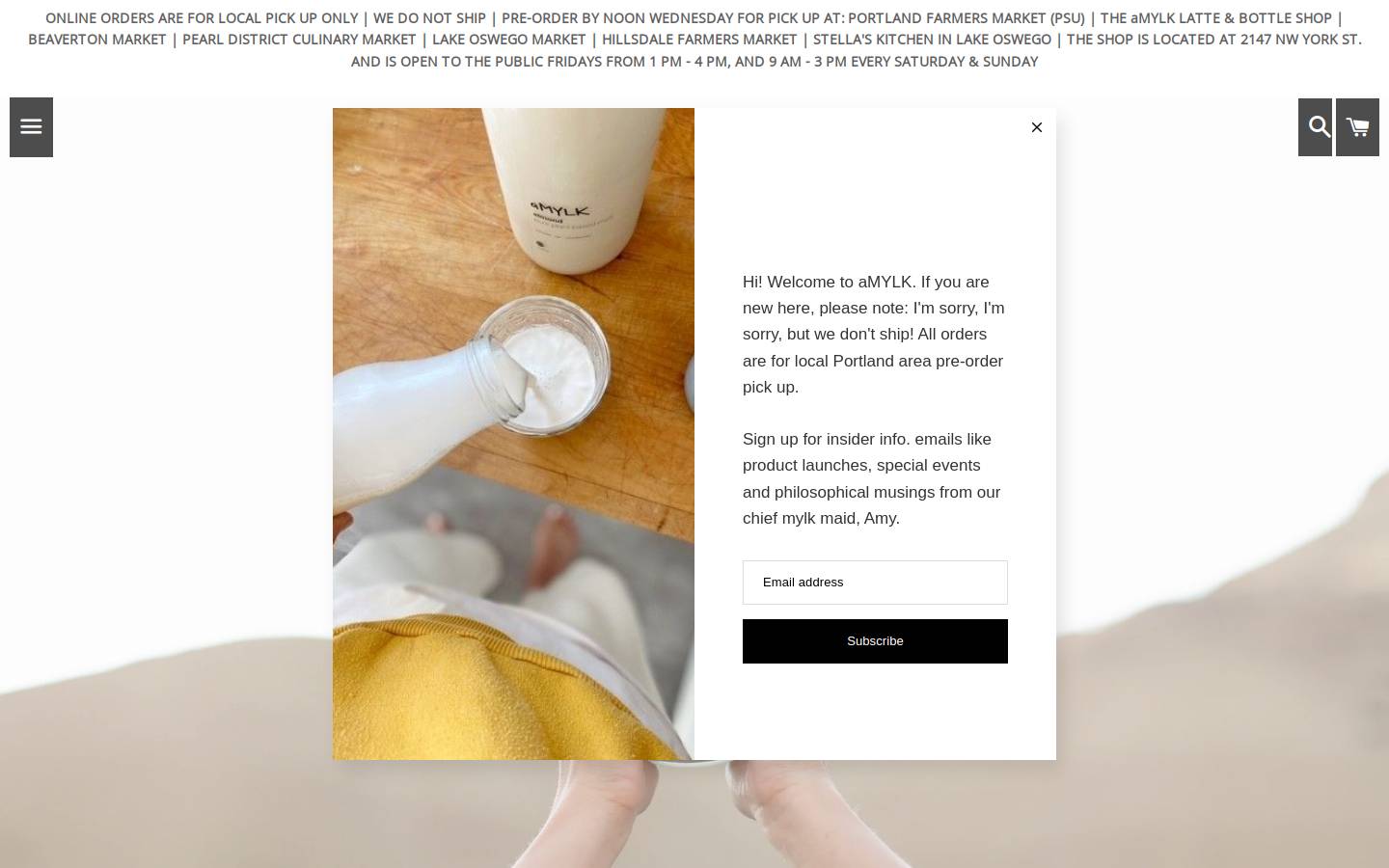 amylkshop.com homepage screenshot