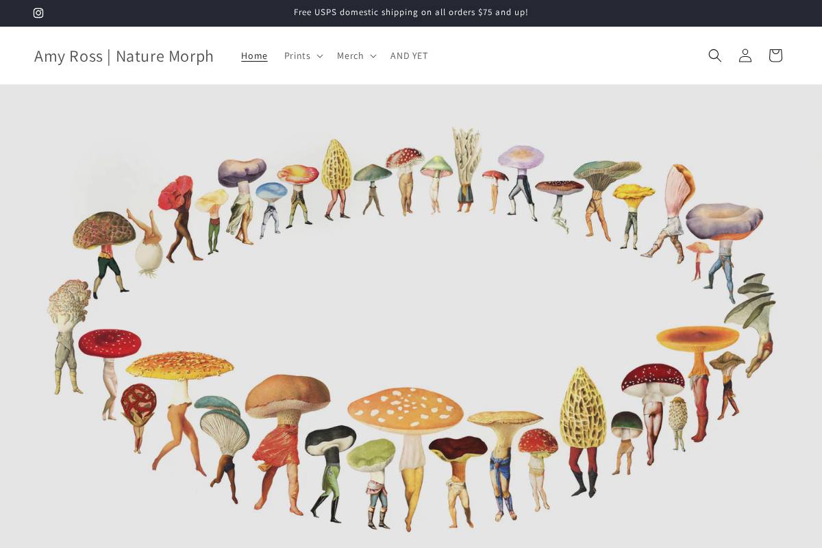 amyross.shop homepage screenshot