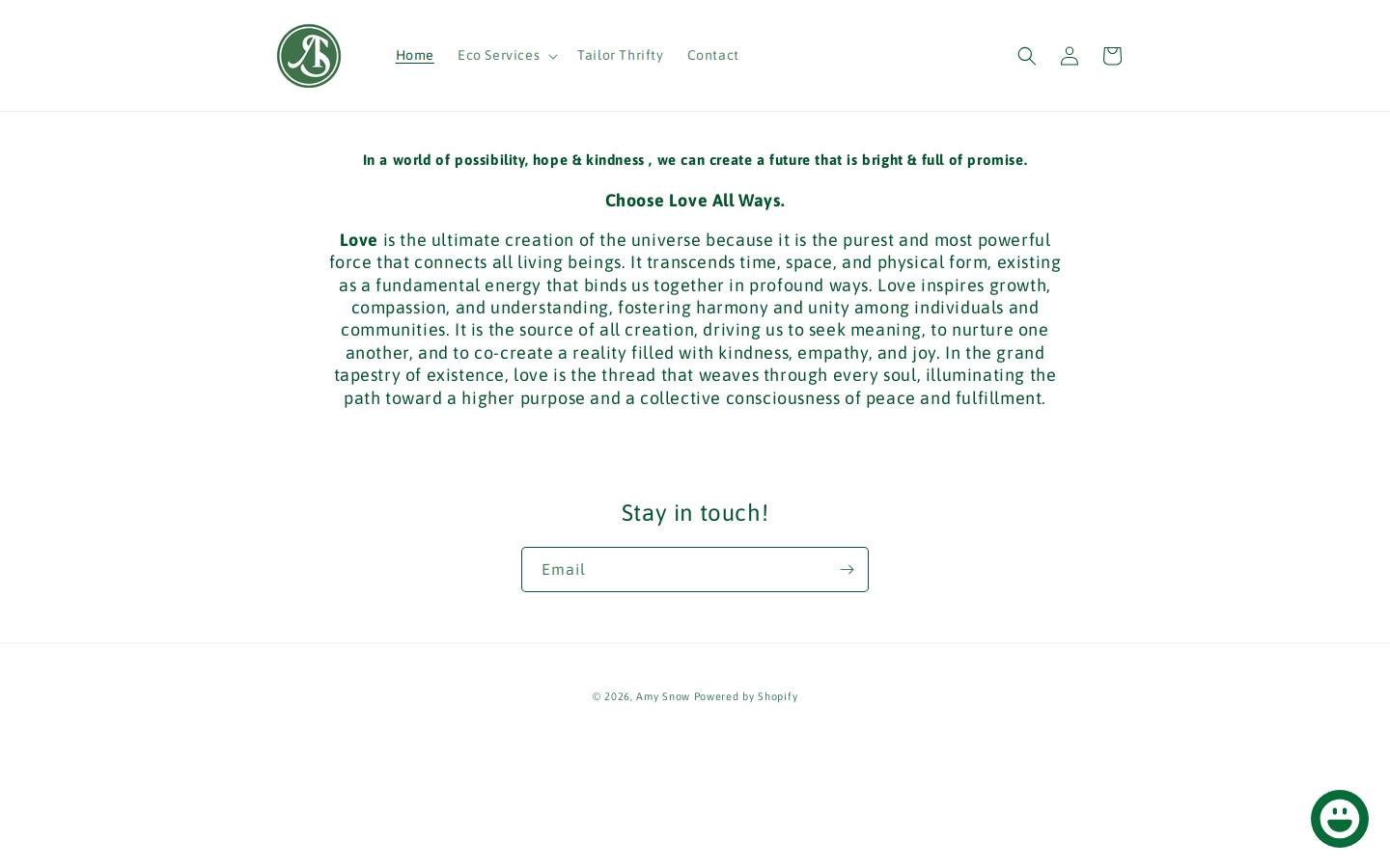 amysnow.com homepage screenshot