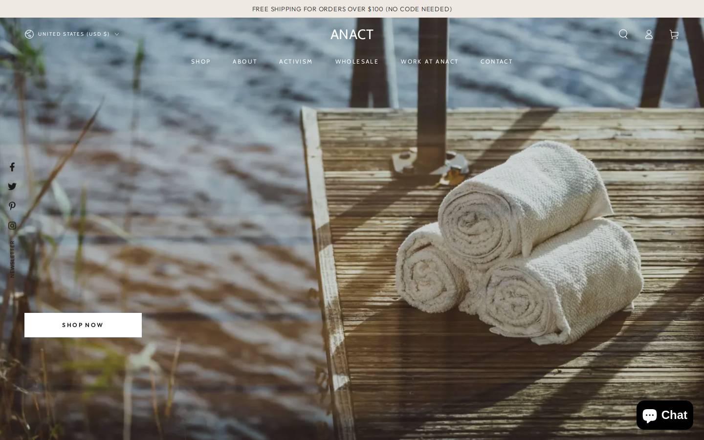 anactglobal.com homepage screenshot