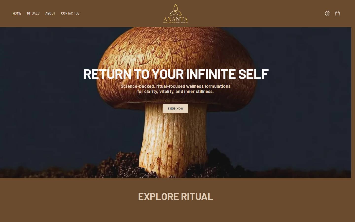 anantapath.com homepage screenshot