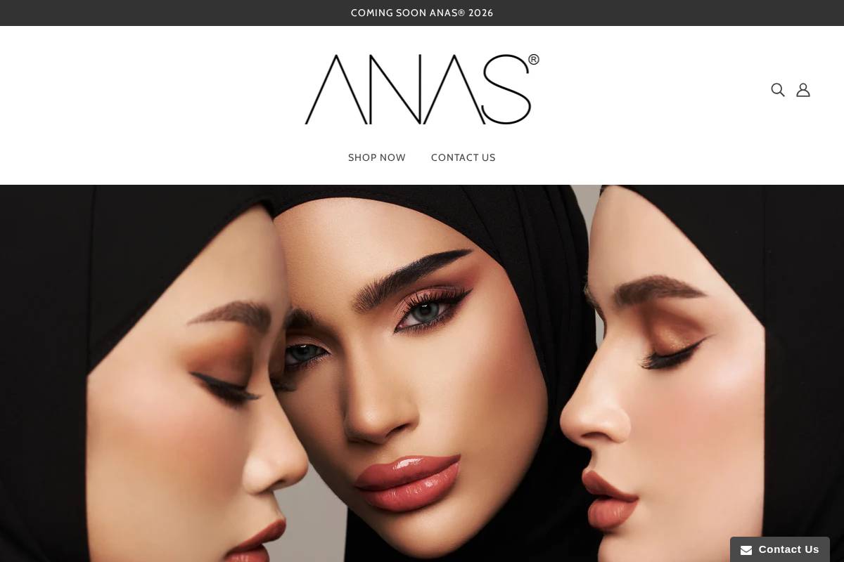 anasism.com homepage screenshot