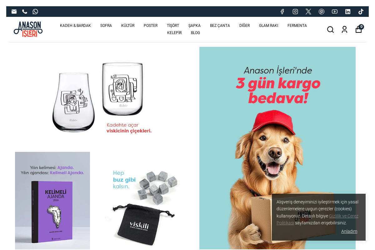 anasonisleri.com homepage screenshot