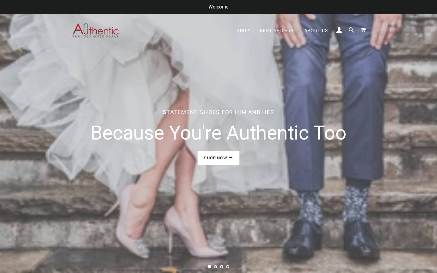 anauthentic.com homepage screenshot