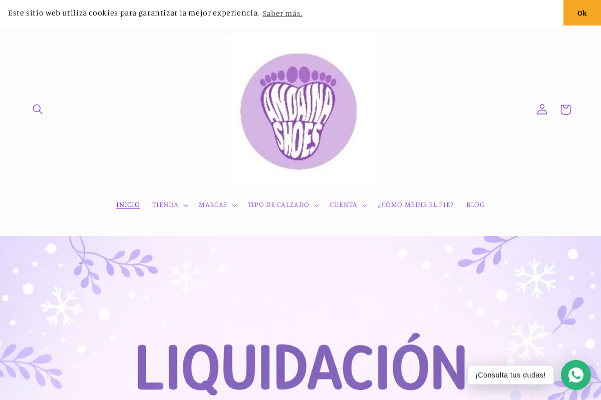 Andaina Shoes homepage screenshot