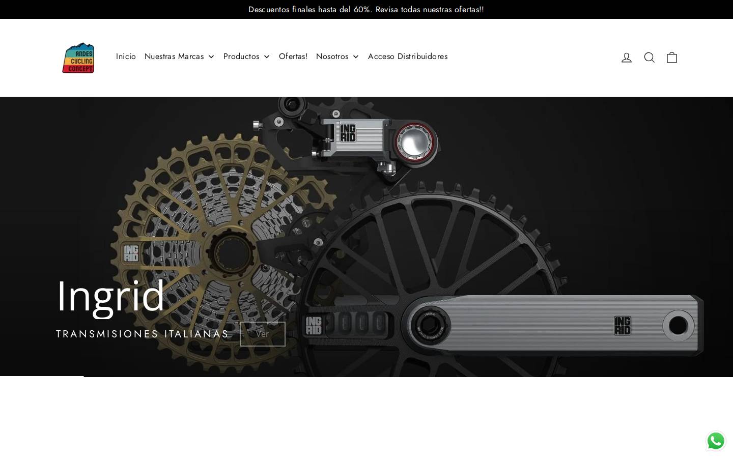 andesrider.cl homepage screenshot