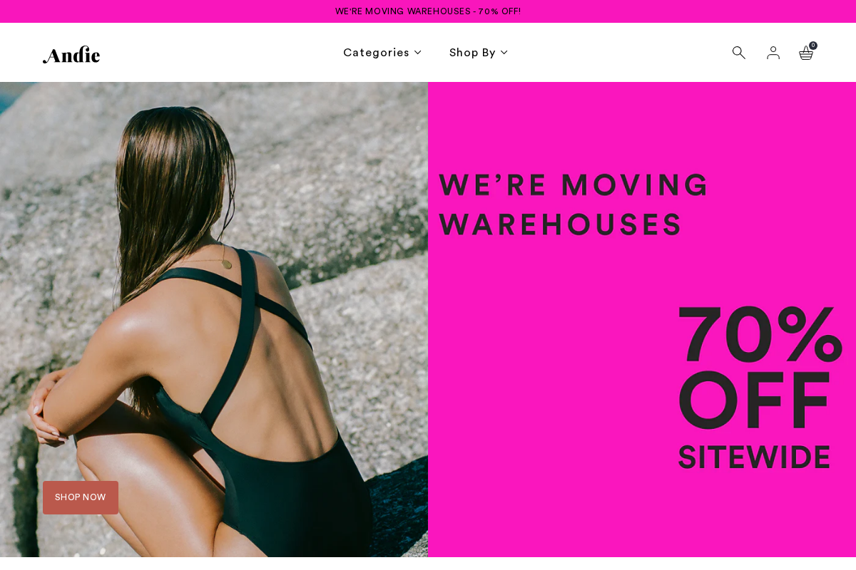 Andie homepage screenshot