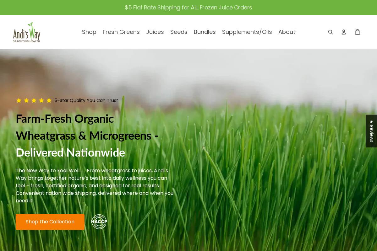 andisway.com homepage screenshot