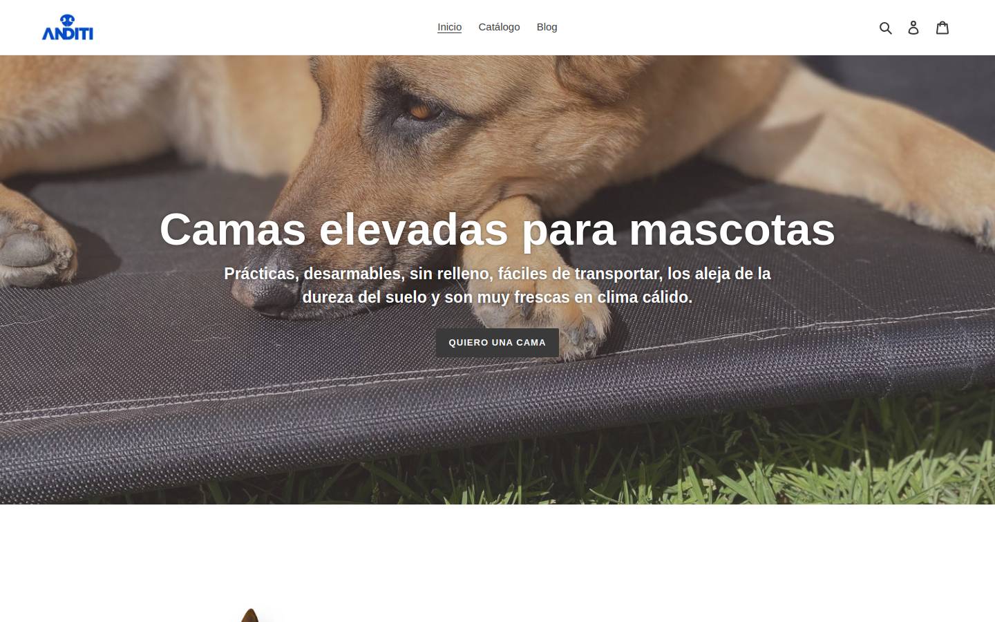anditishop.com homepage screenshot