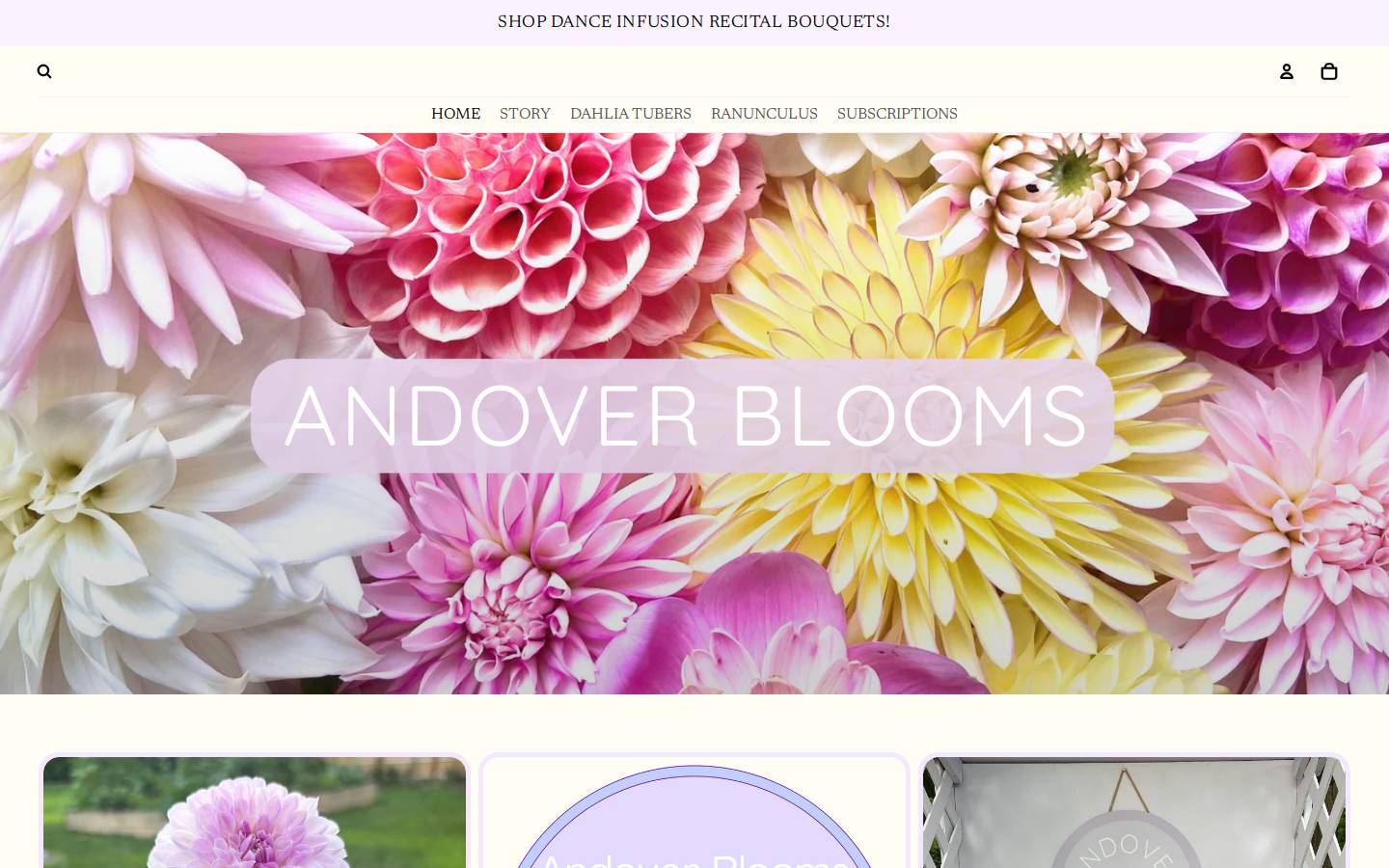 andoverblooms.com homepage screenshot