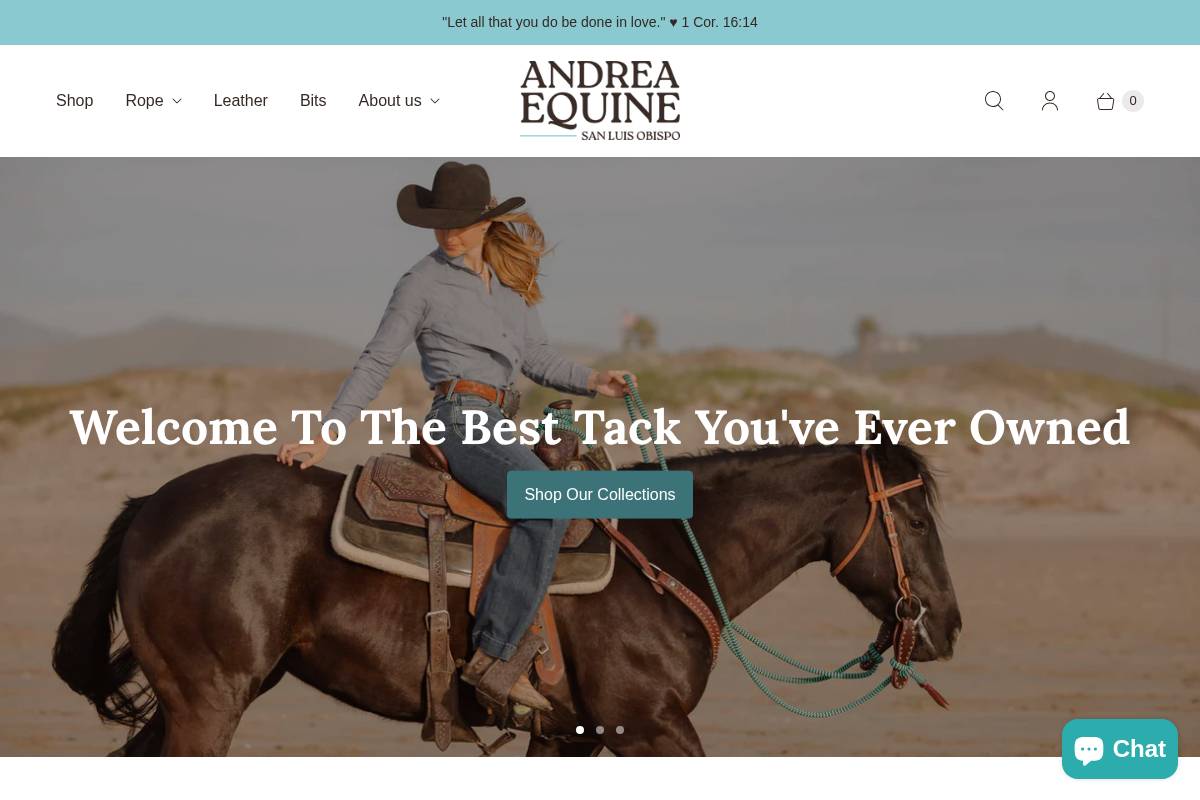 andreaequine.com homepage screenshot