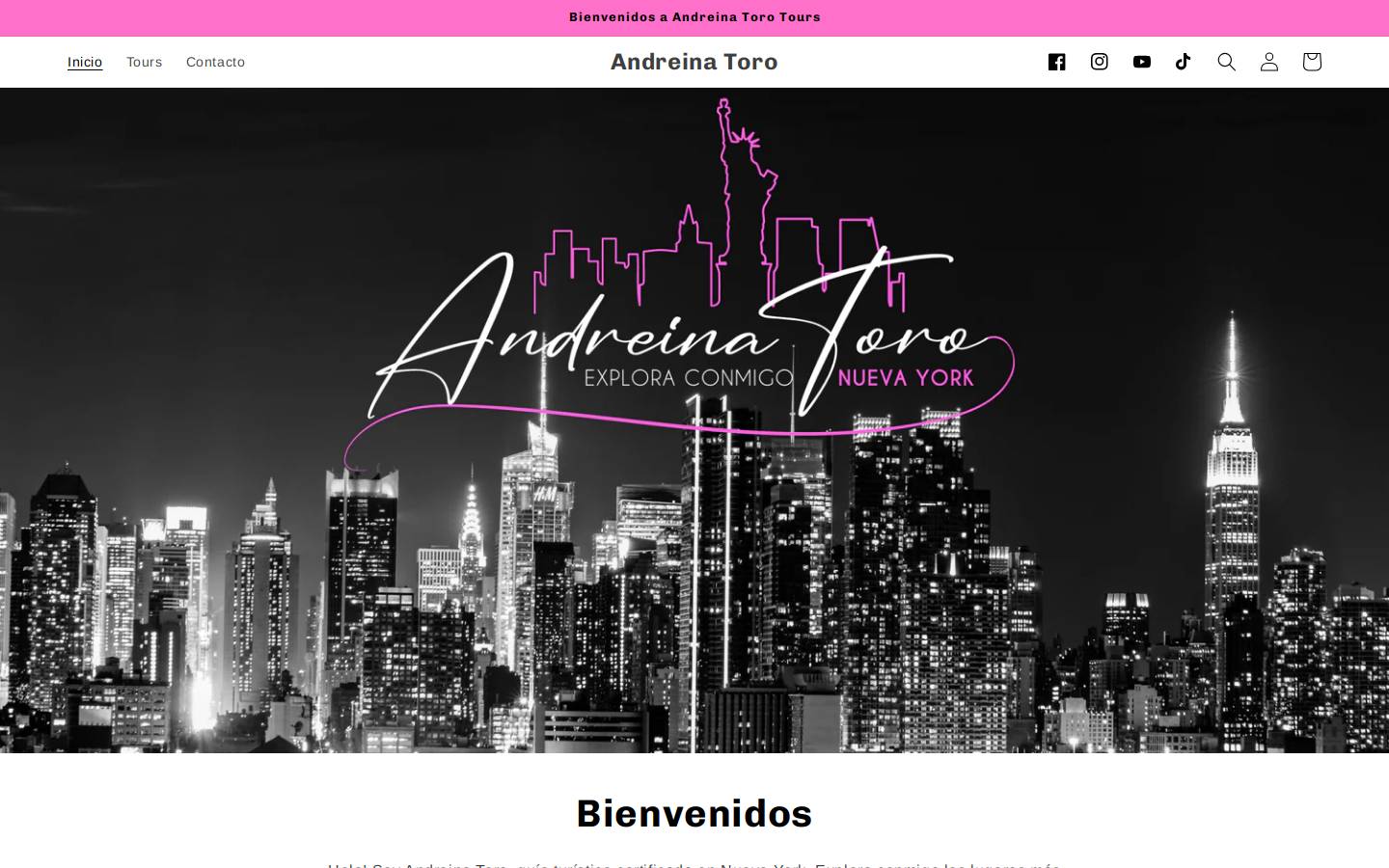 andreinatoro.com homepage screenshot