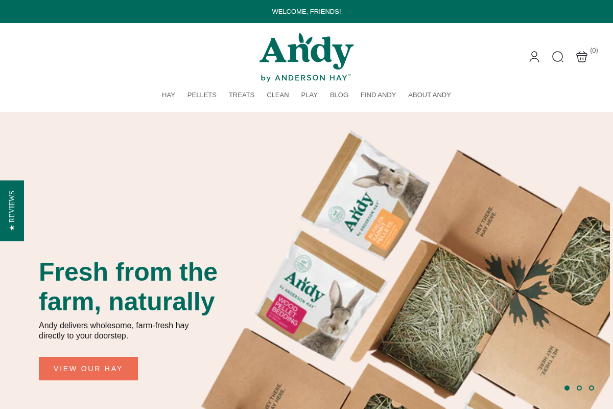 Andy by Anderson Hay homepage screenshot