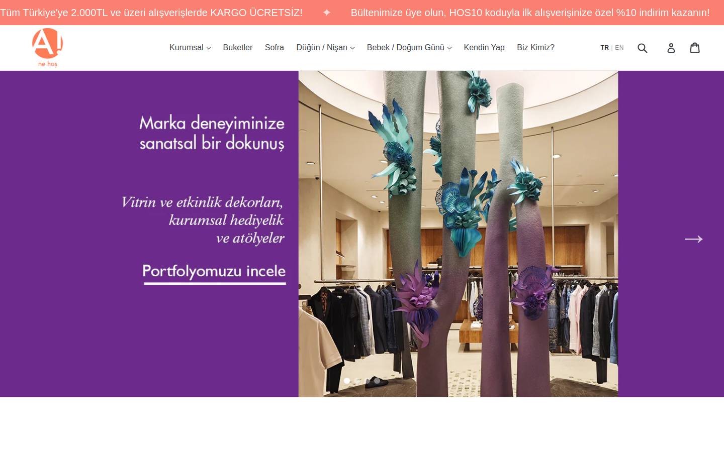 anehos.com homepage screenshot