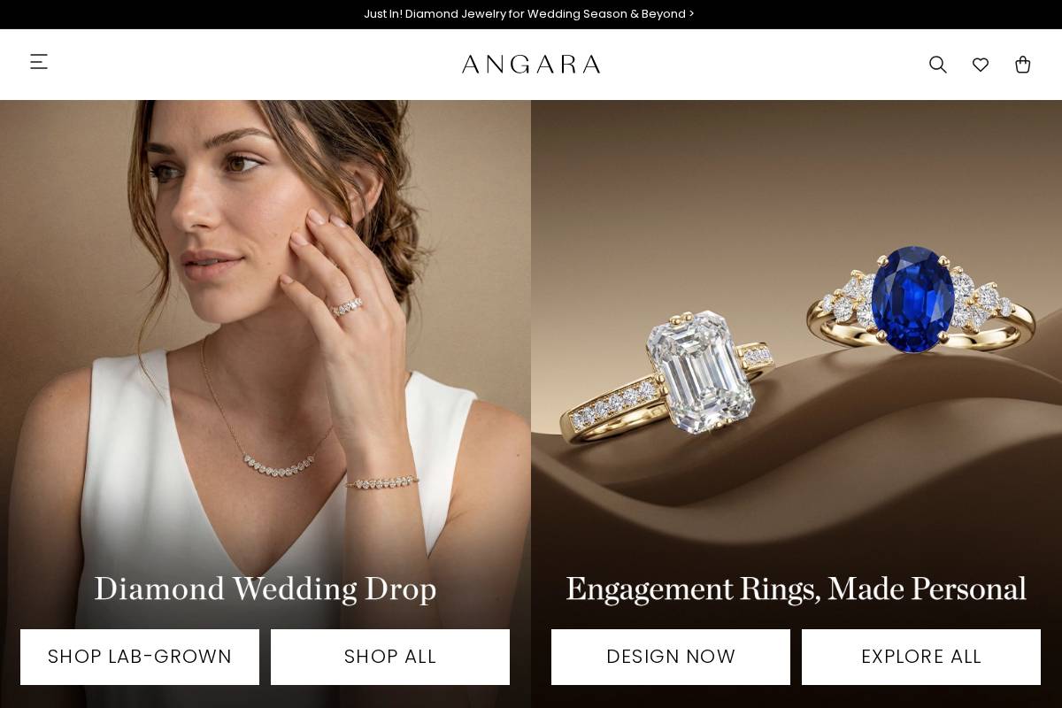 Angara homepage screenshot