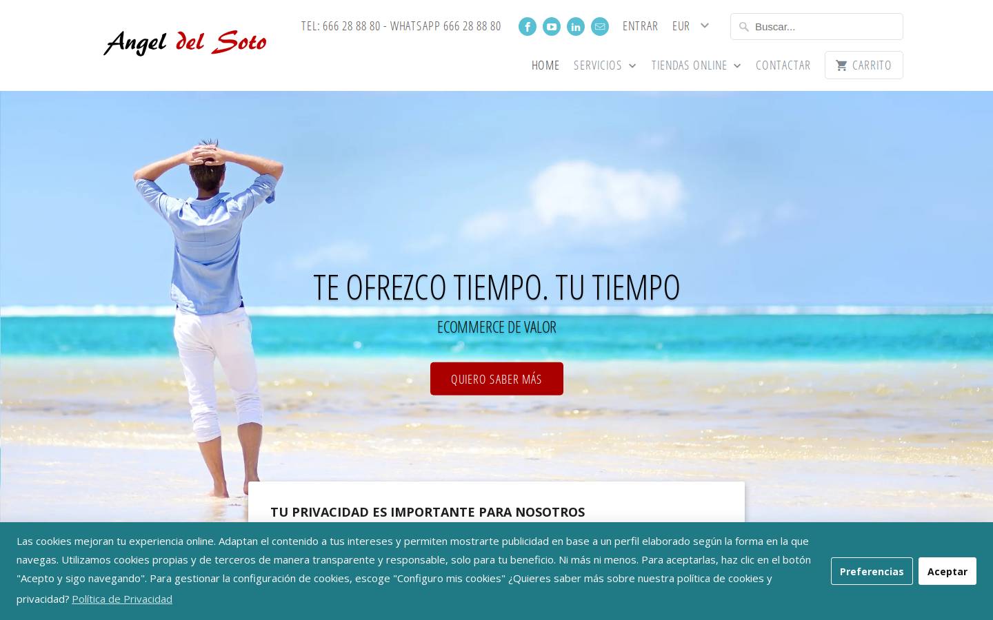 angeldelsoto.com homepage screenshot