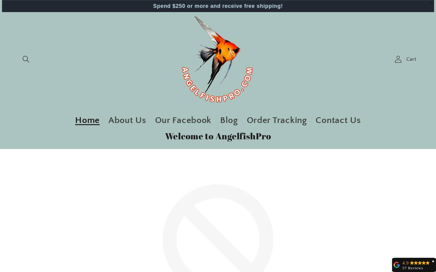 angelfishpro.com homepage screenshot