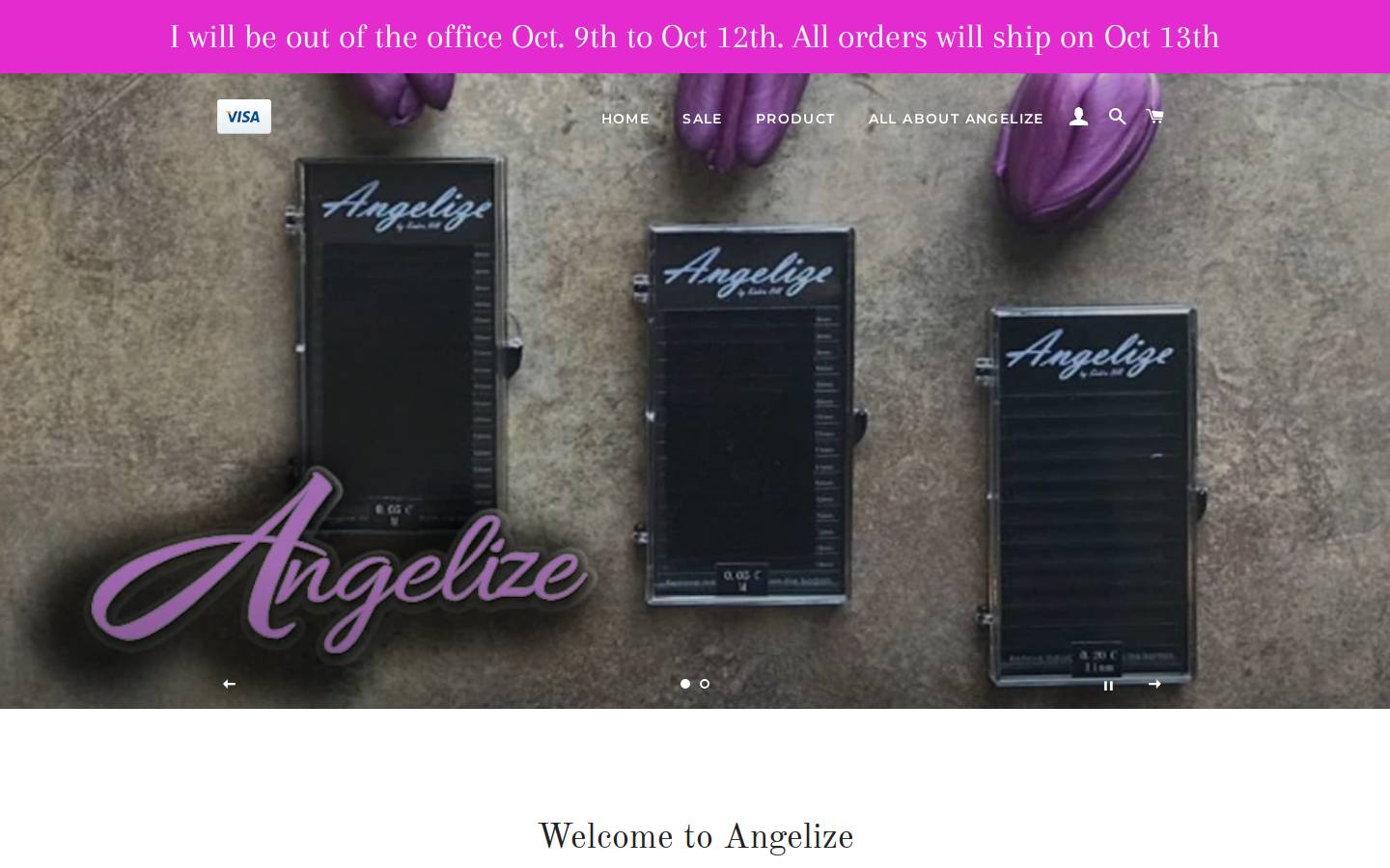 angelizepro.com homepage screenshot