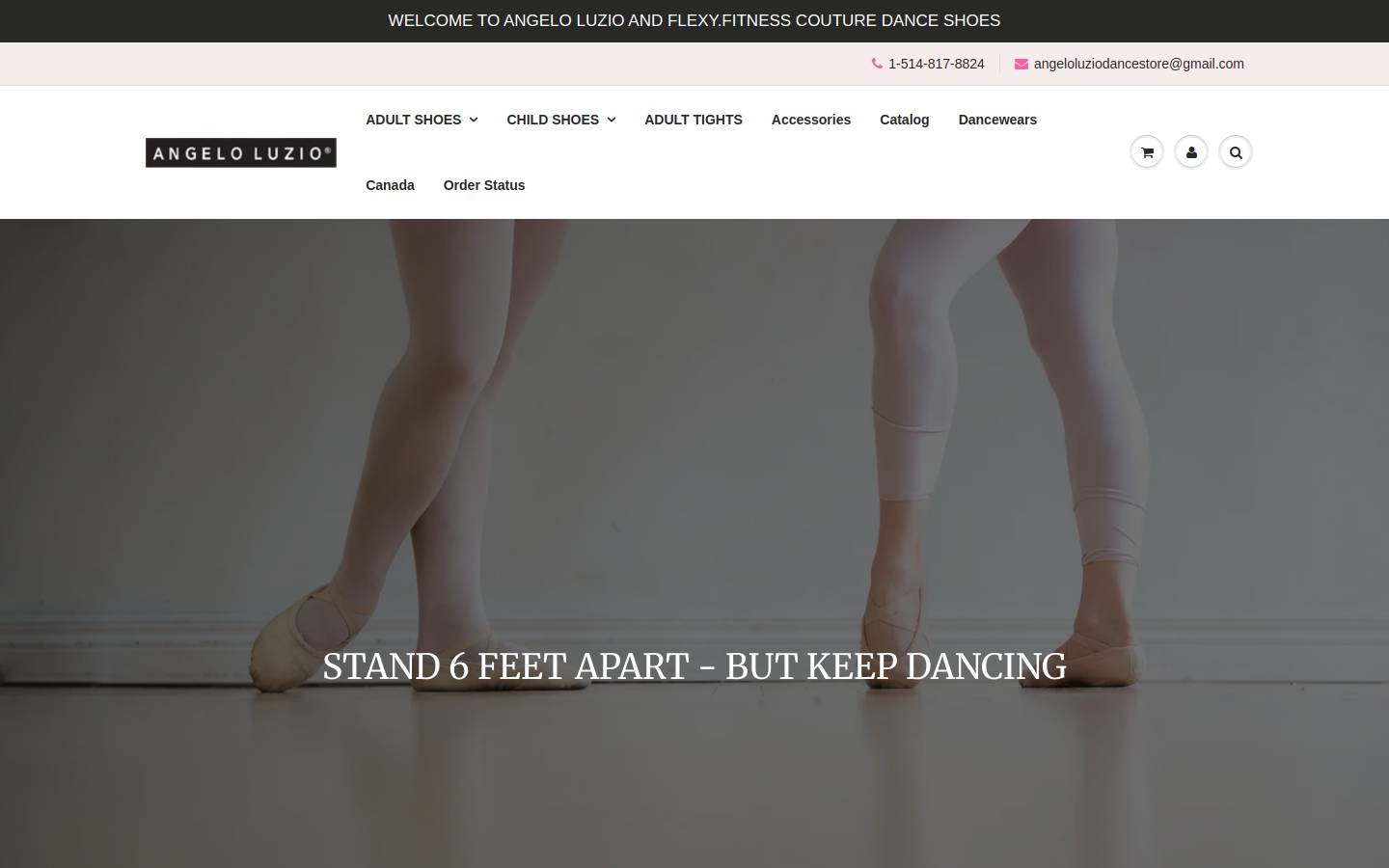 angeloluziodancestore.com homepage screenshot