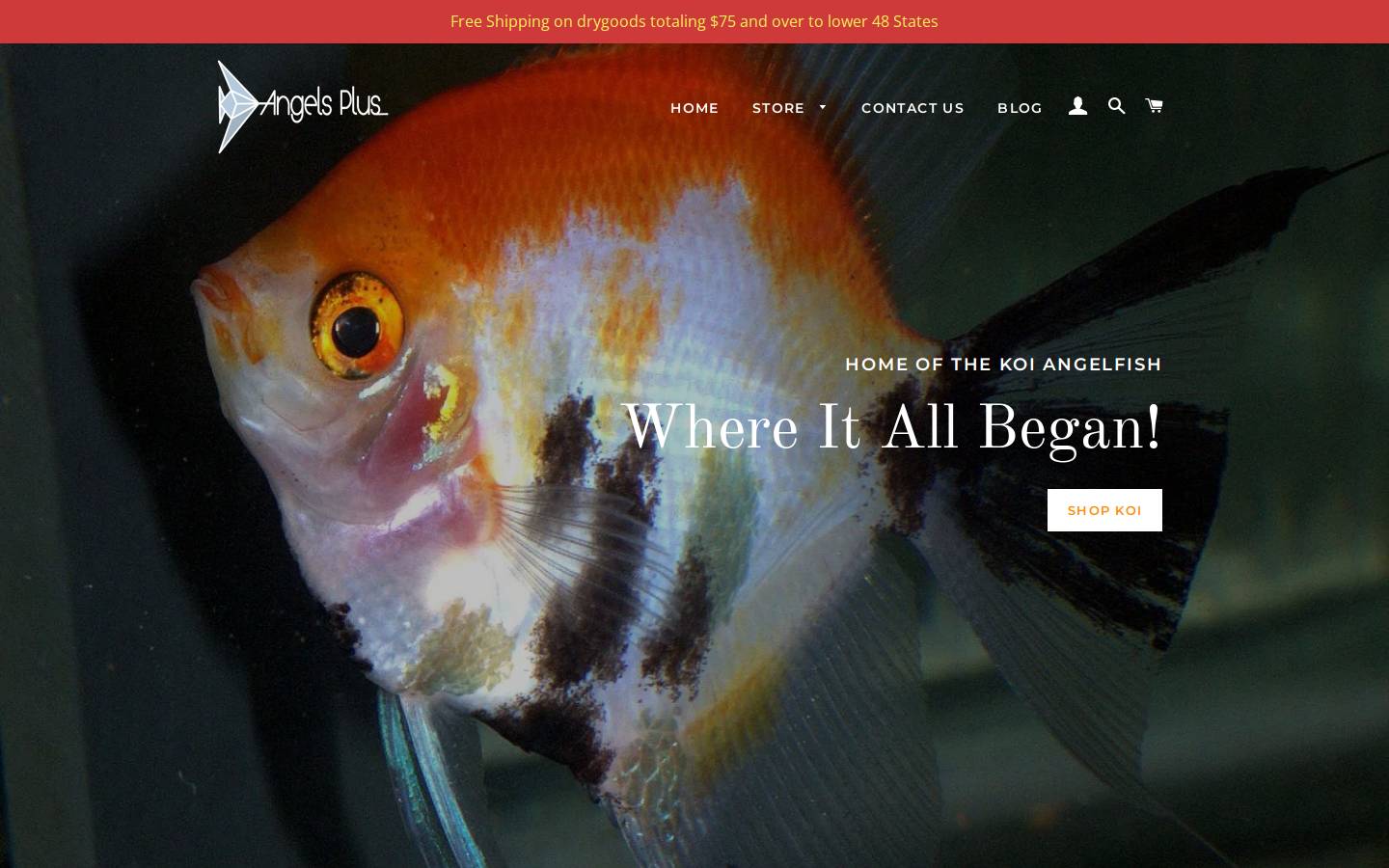 angelsplus.com homepage screenshot