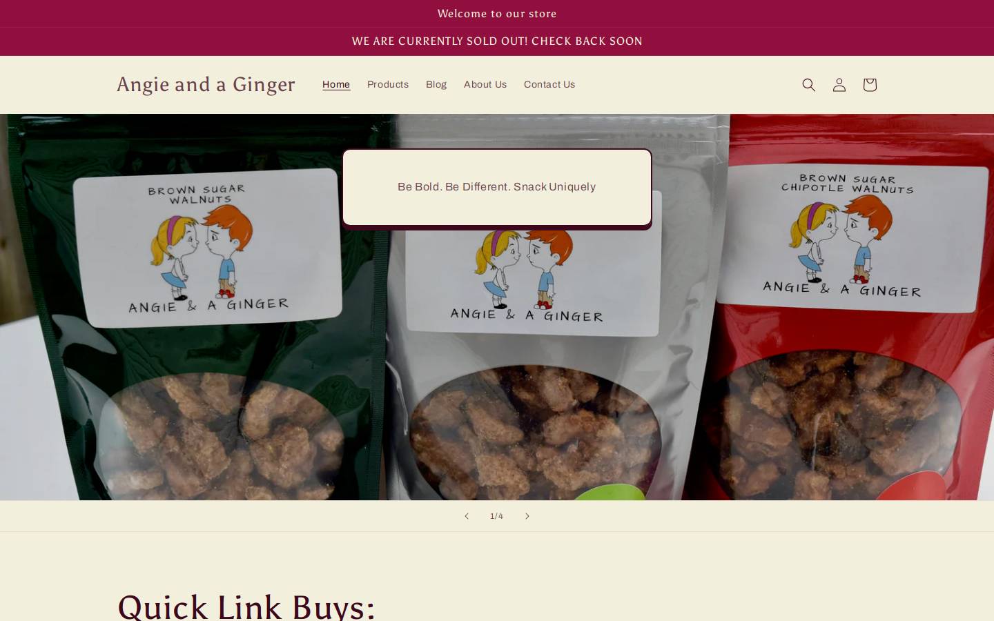 angieandaginger.com homepage screenshot