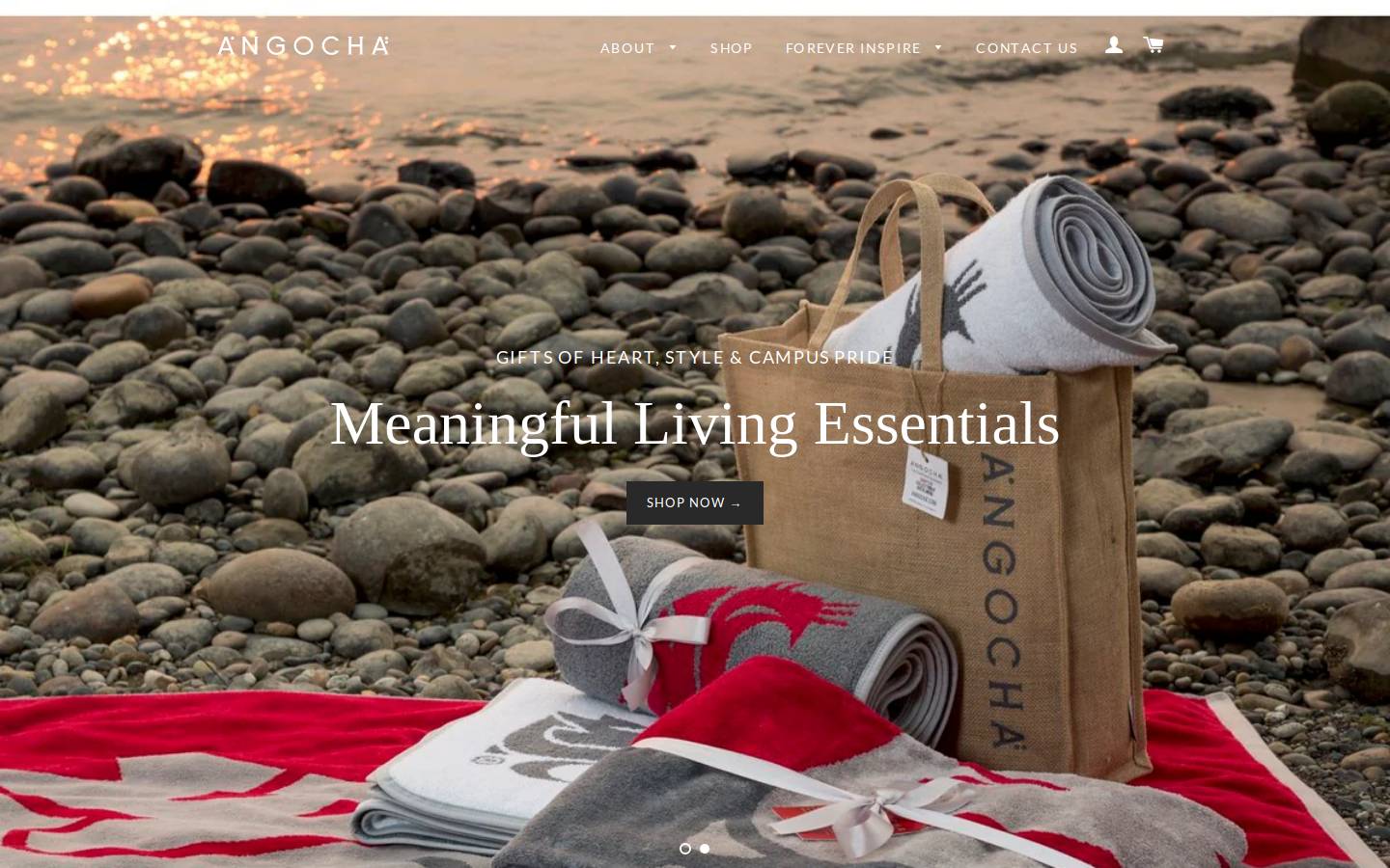 angocha.com homepage screenshot
