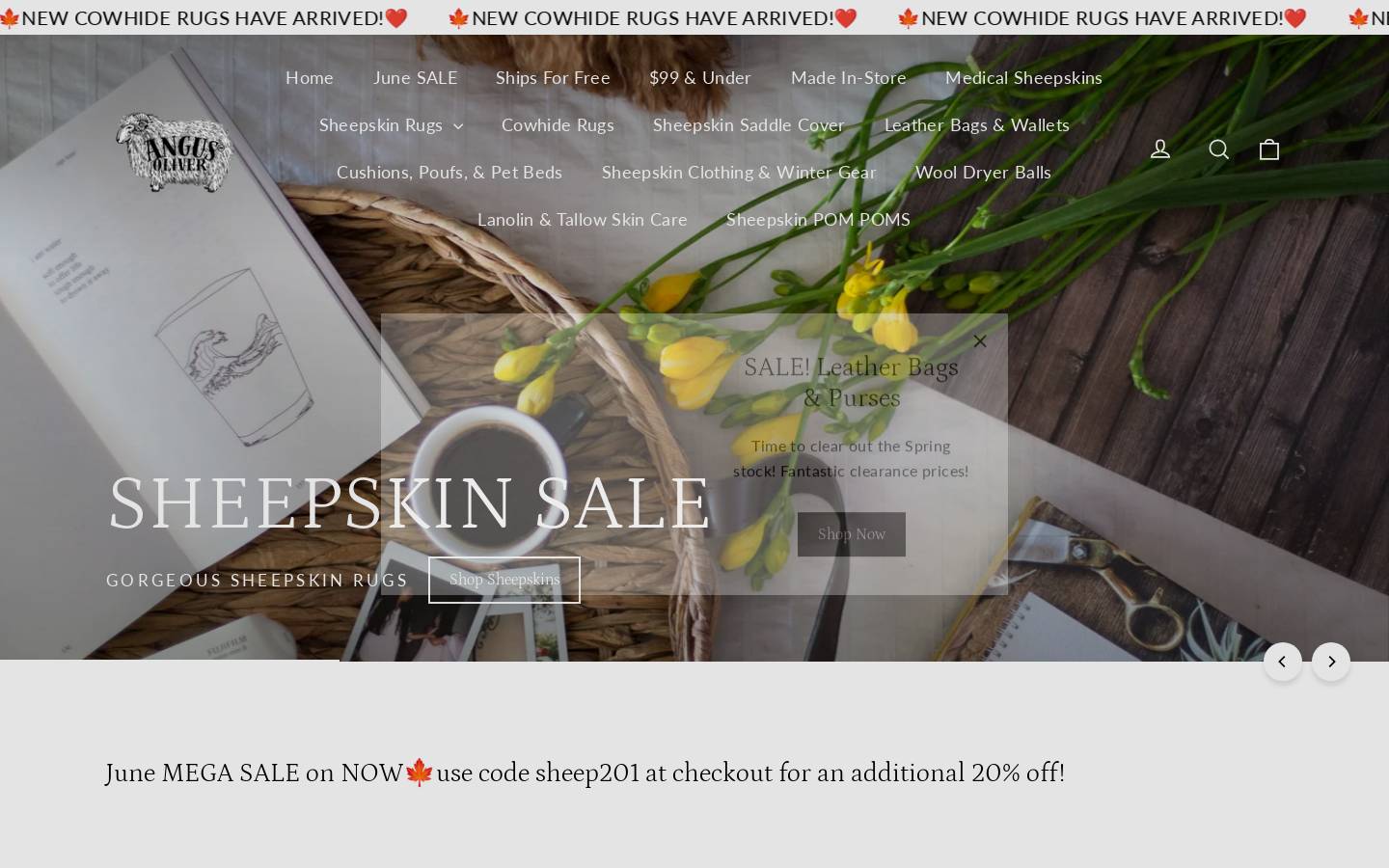 angusoliverproducts.ca homepage screenshot