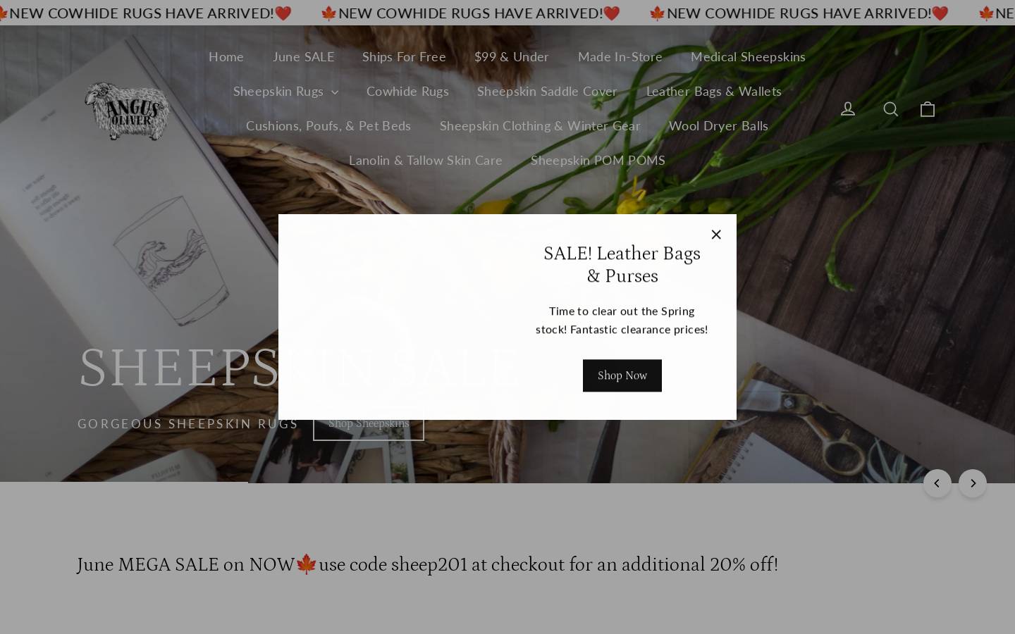angusoliverproducts.com homepage screenshot