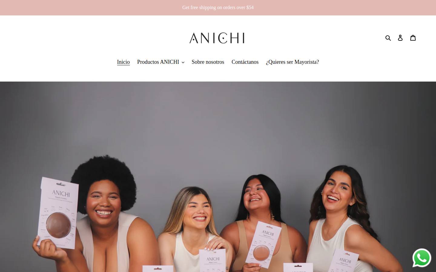 anichioficial.com homepage screenshot
