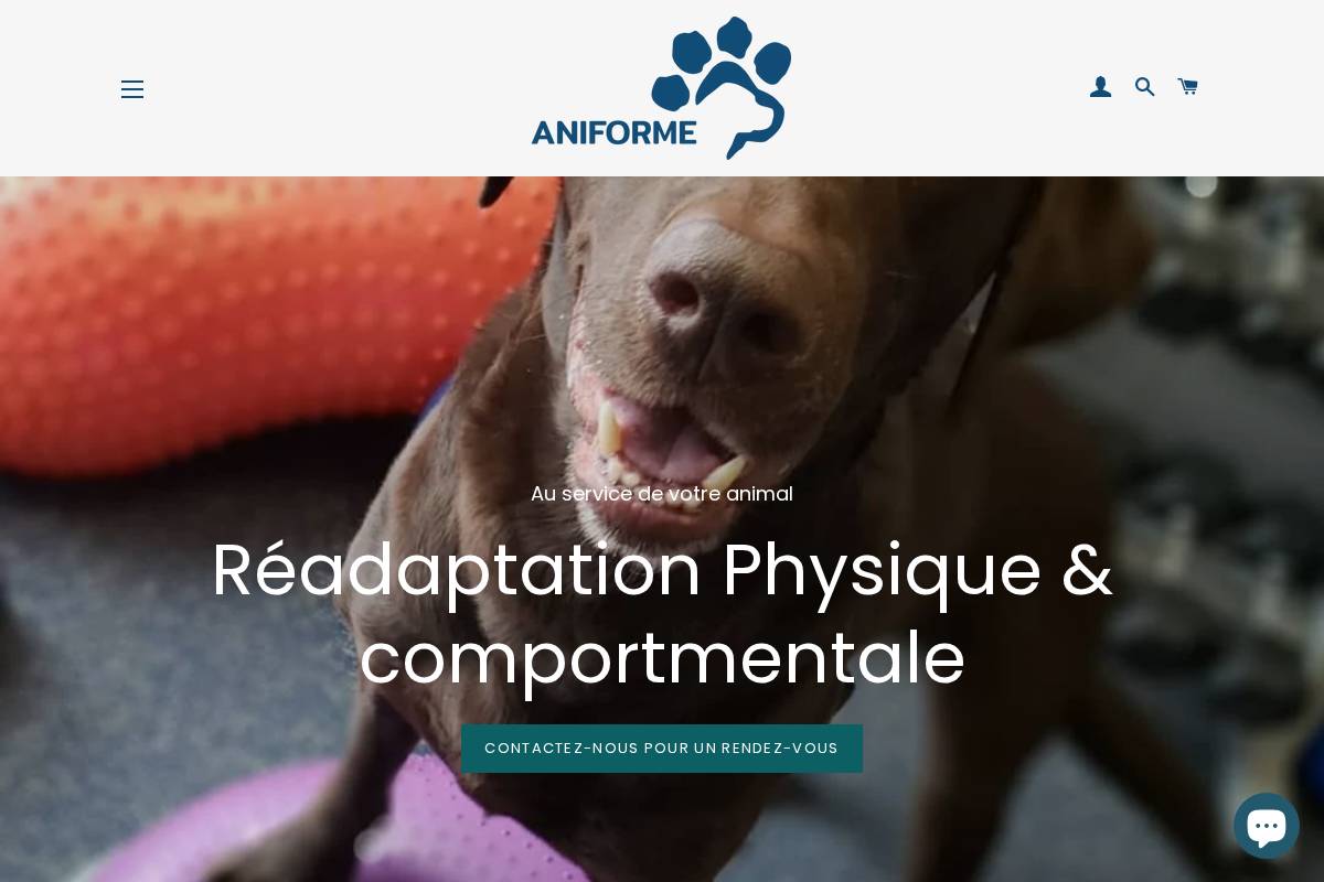 aniforme.com homepage screenshot