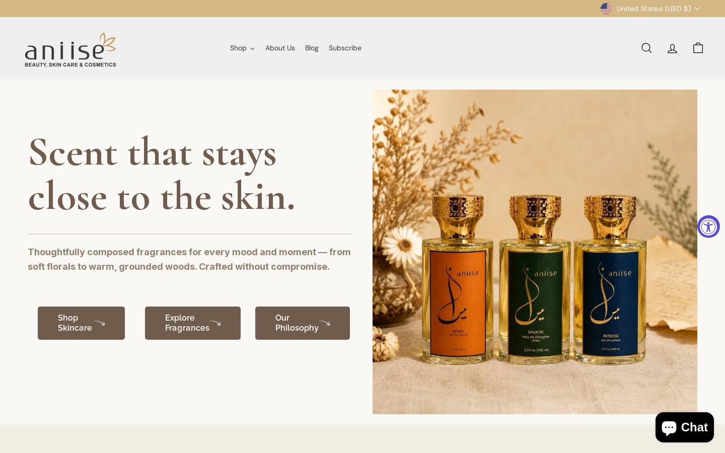 aniise.com homepage screenshot