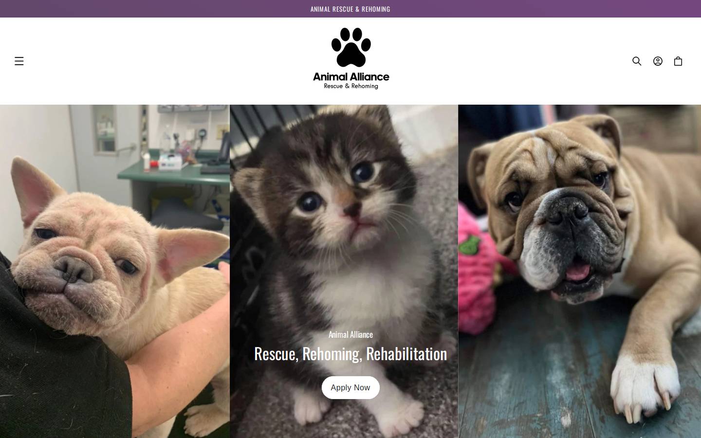 animalalliance.net homepage screenshot