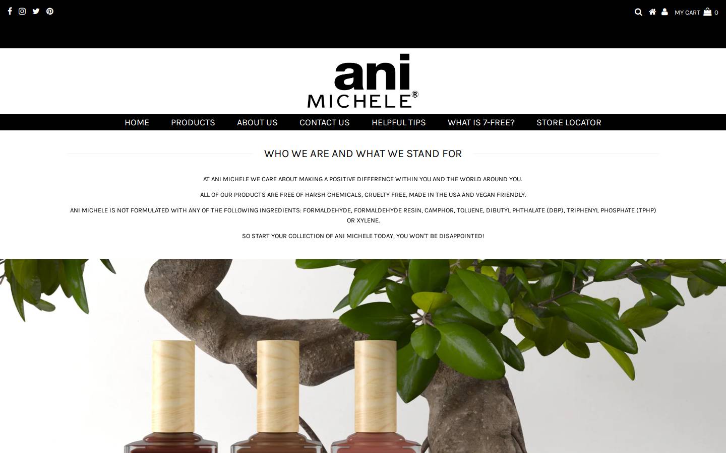 animichele.com homepage screenshot