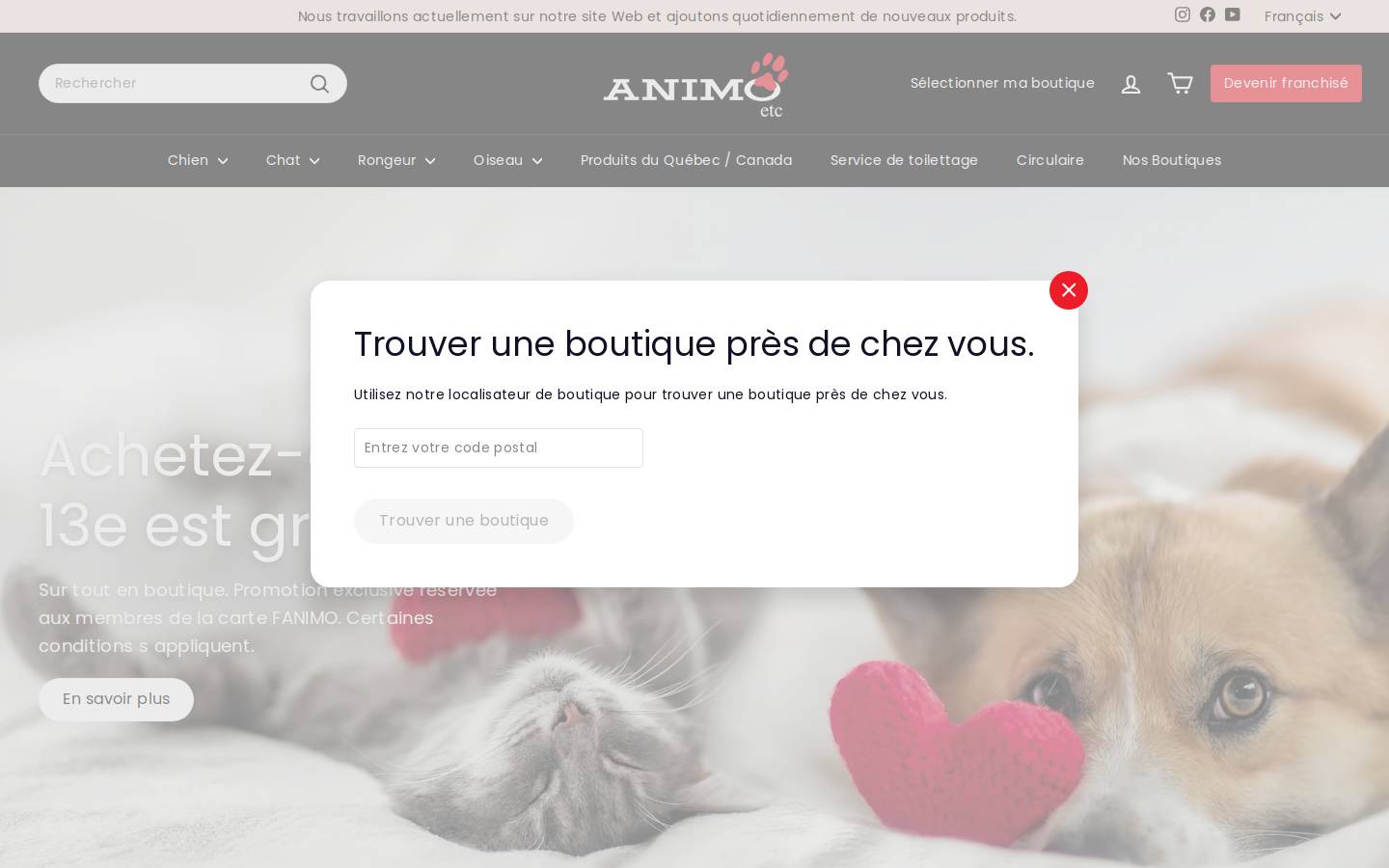 animoetc.com homepage screenshot