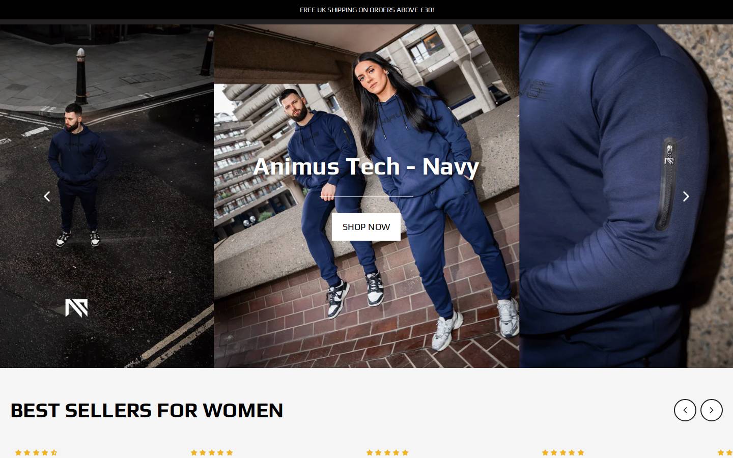 animusphysique.com homepage screenshot