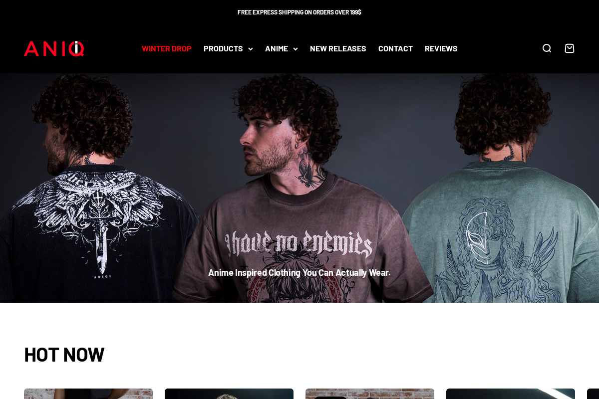 Aniqi homepage screenshot